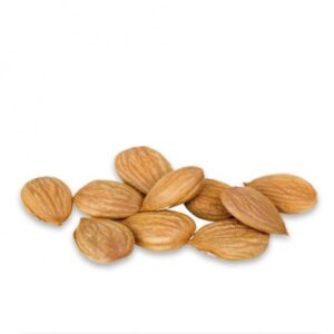 Apricot Kernels