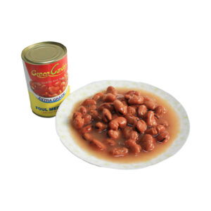 Canned Broad beans